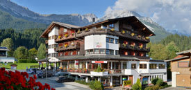 Hotel ALPIN Scheffau Hotel ALPIN Scheffau