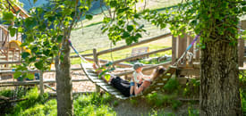 Biobauernhof HINTEREGGER Biobauernhof HINTEREGGER