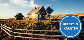 Urlaub auf der Alm in Kärnten Urlaub auf der Alm in Kärnten